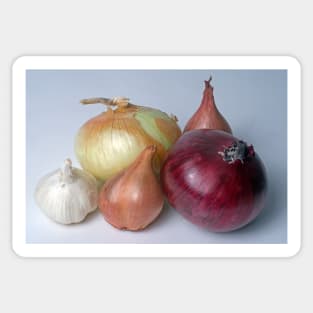 A Family Allium Sticker